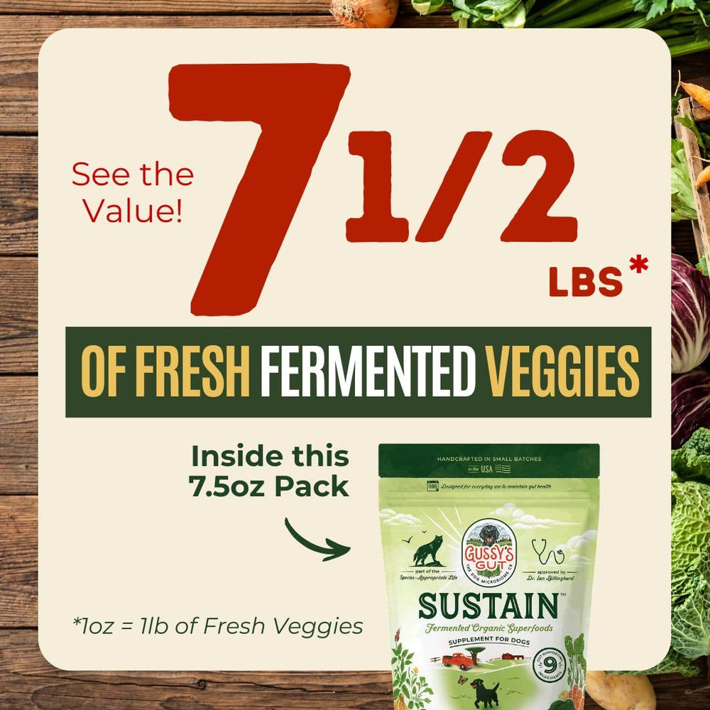 Gussy's Gut Sustain, mélange d'ingrédients naturels pour le confort digestif.