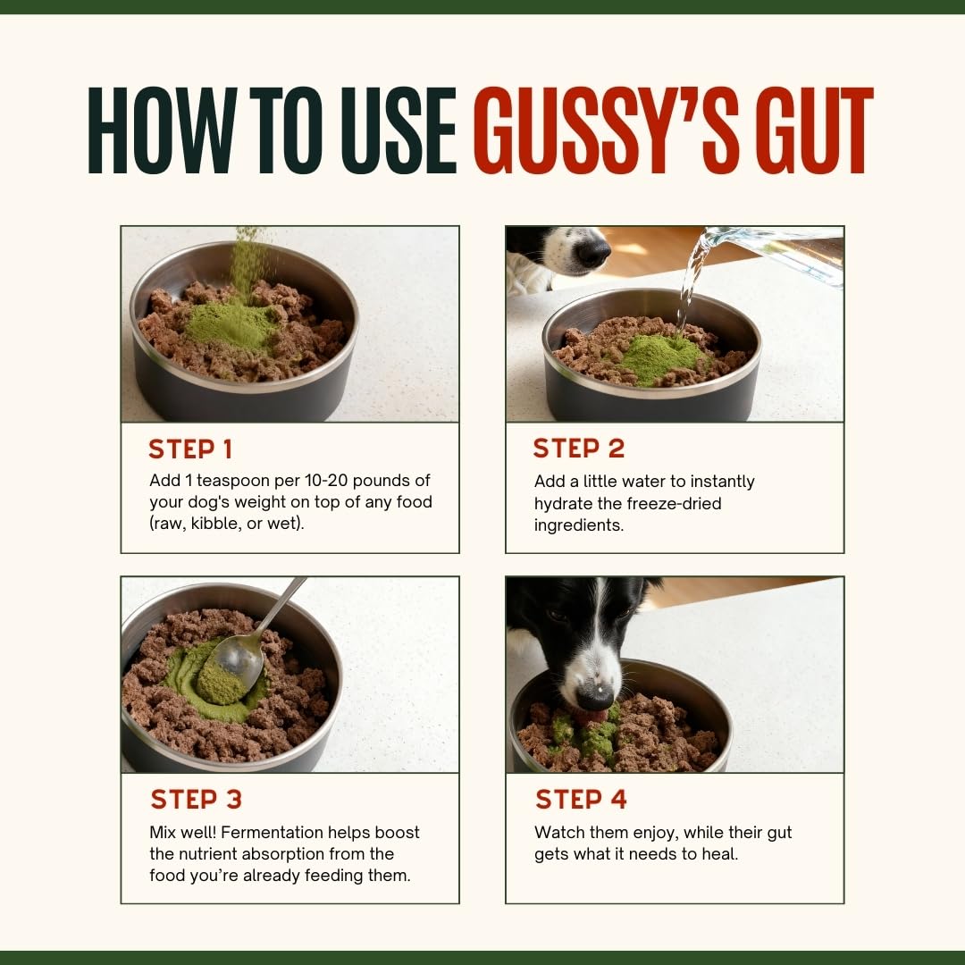 Gussy's Gut Sustain, protocole Reset Maintien Delight pour la santé intestinale.