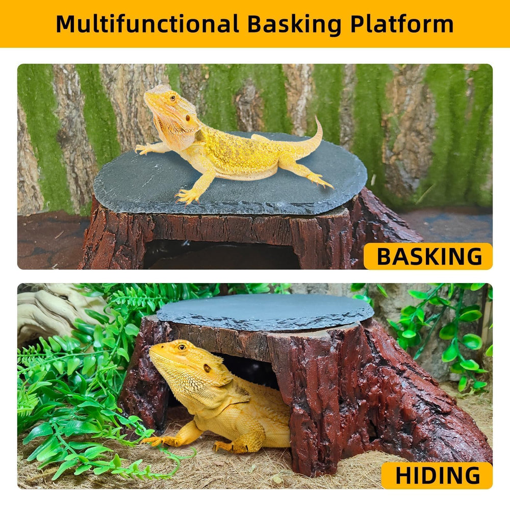 Gxsdj dimension 28x18x9 cm barbu, taille adaptée pour reptiles