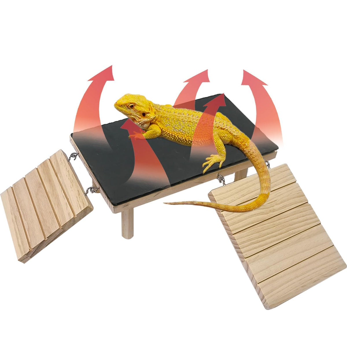Gxsdj Plateforme-basking-dragon-barbu-bois, favorise escalade et repos sécurisés.