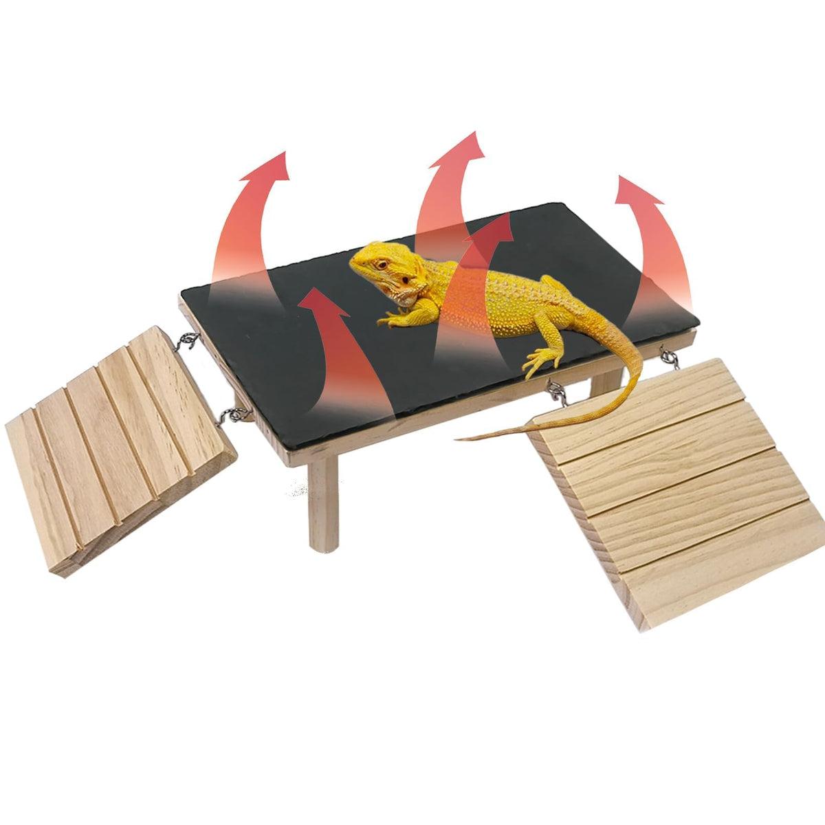 Gxsdj plateforme chauffante pour dragon-barbu, idéale pour l'exposition au soleil.