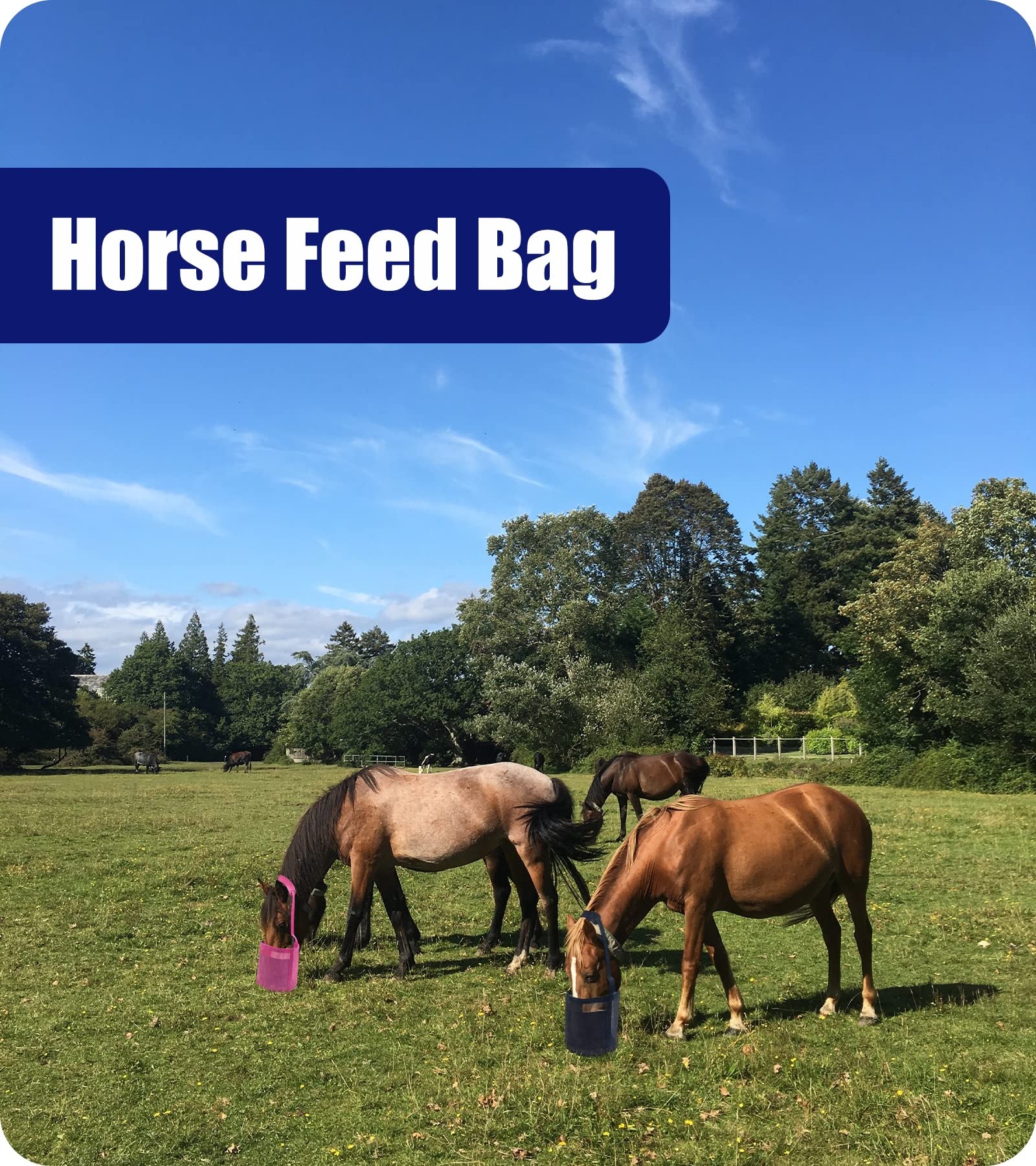 Gydoty sac-alimentation-cheval-sangle-reglable, facilite le réglage pour un port confortable.