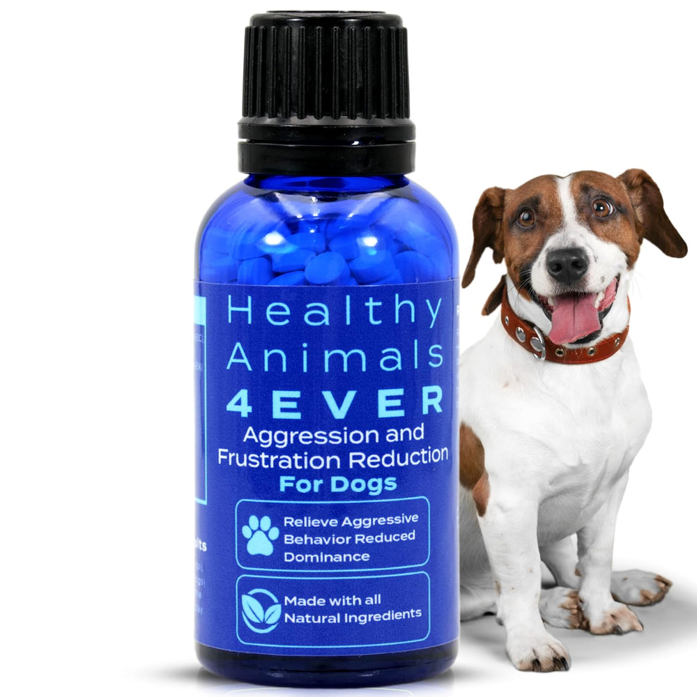 HA4E tablettes apaisantes pour chien, aide potentielle au calme face au stress.