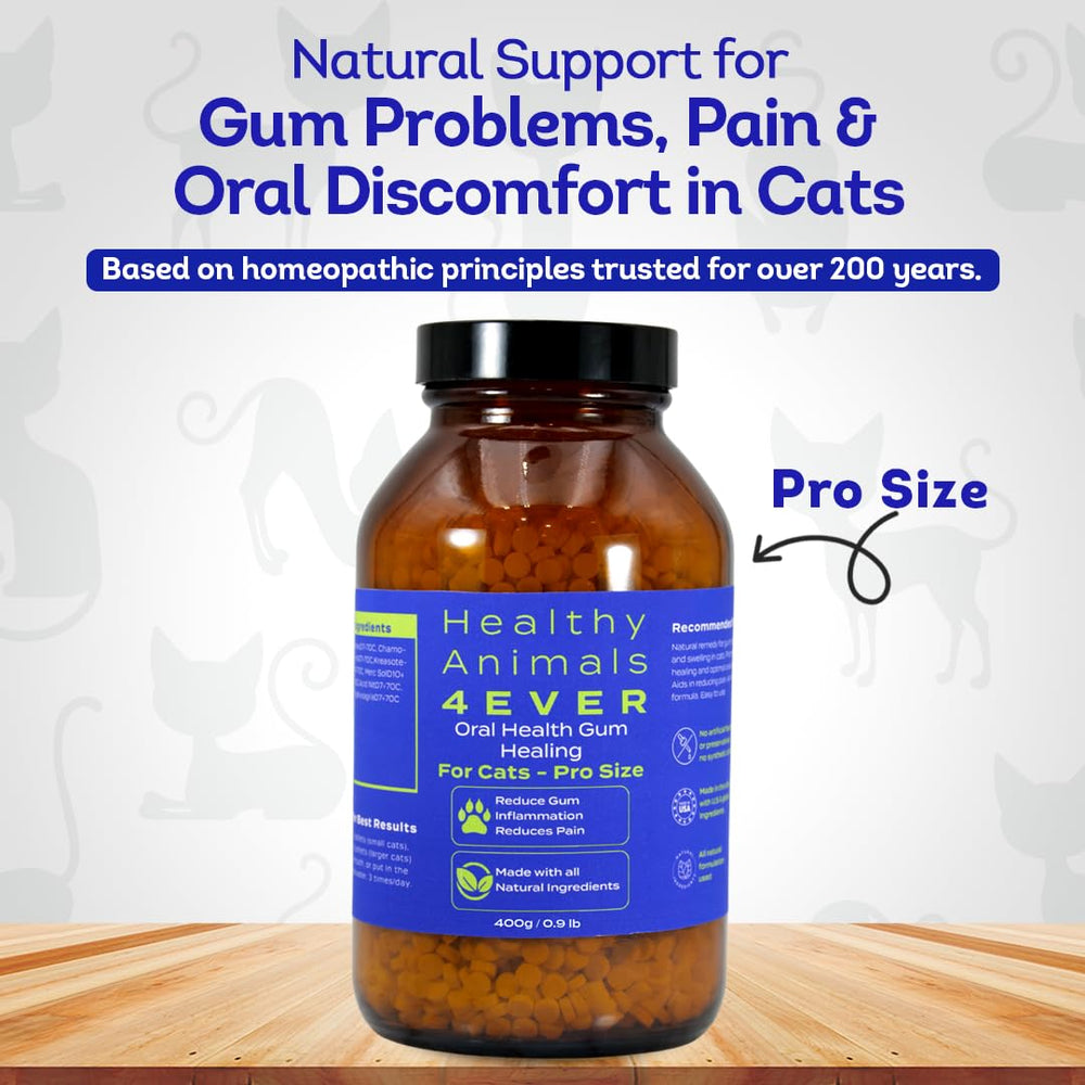 Chat boit eau avec HA4E, soutien buccal potentiel.