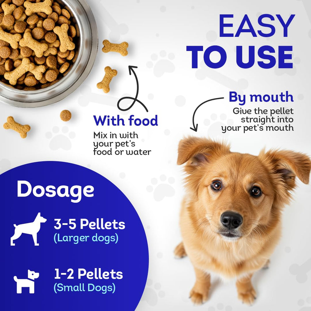 Formule naturelle HA4E sans additifs pour le bien-être canin.