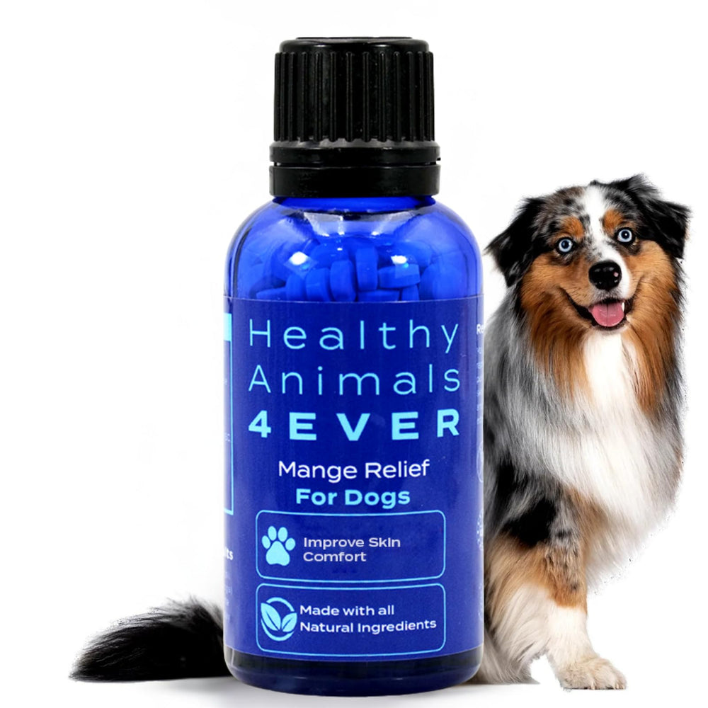 HA4E Mange-relief pour chien — bouteille pratique et naturelle.