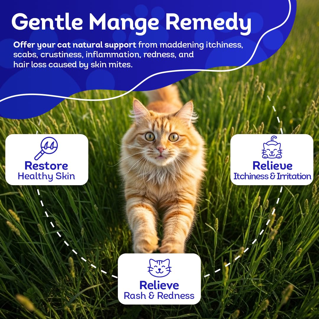HA4E peau chat – visuel montrant une peau potentiellement plus saine grâce au produit.