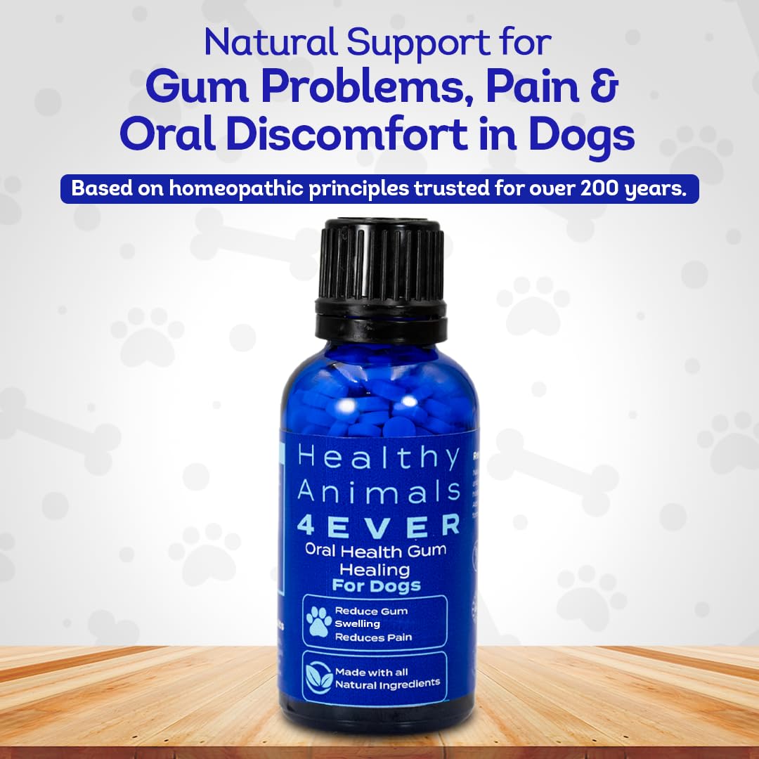 HA4E pellets dentaires pour chien dissous dans l'eau, administration simple.