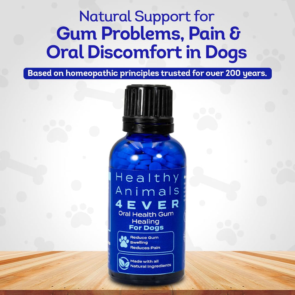 HA4E pellets dentaires pour chien dissous dans l'eau, administration simple.