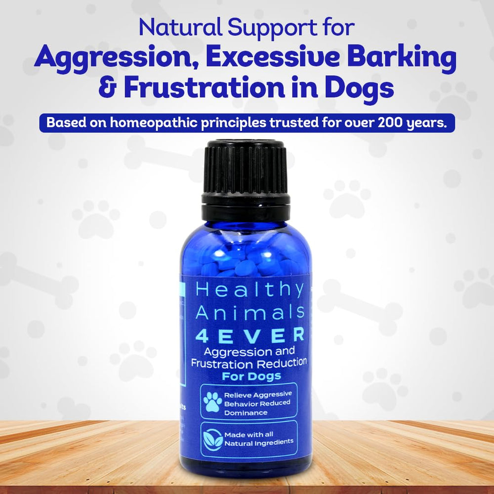 Pot HA4E 400 g, solution économique pour les chiens du foyer.