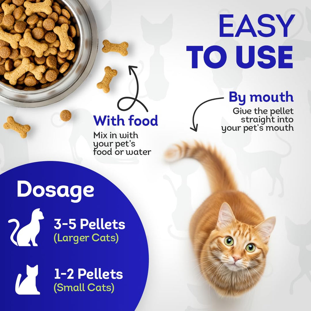 HA4E: sans OGM, option naturelle pour la bouche des chats.