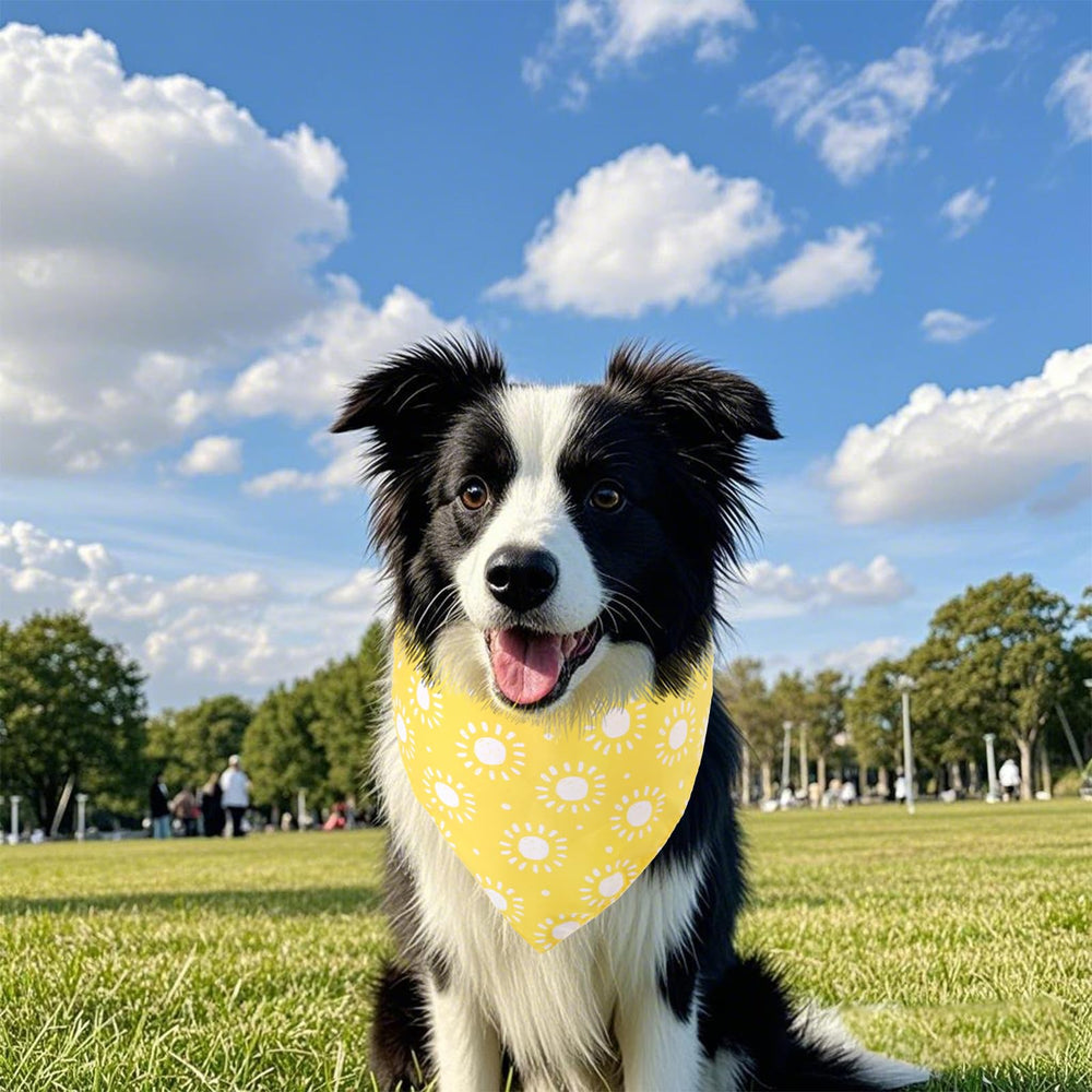 Bandana Haakong pour anniversaire ou jour spécial, rehausse le look de votre chien.