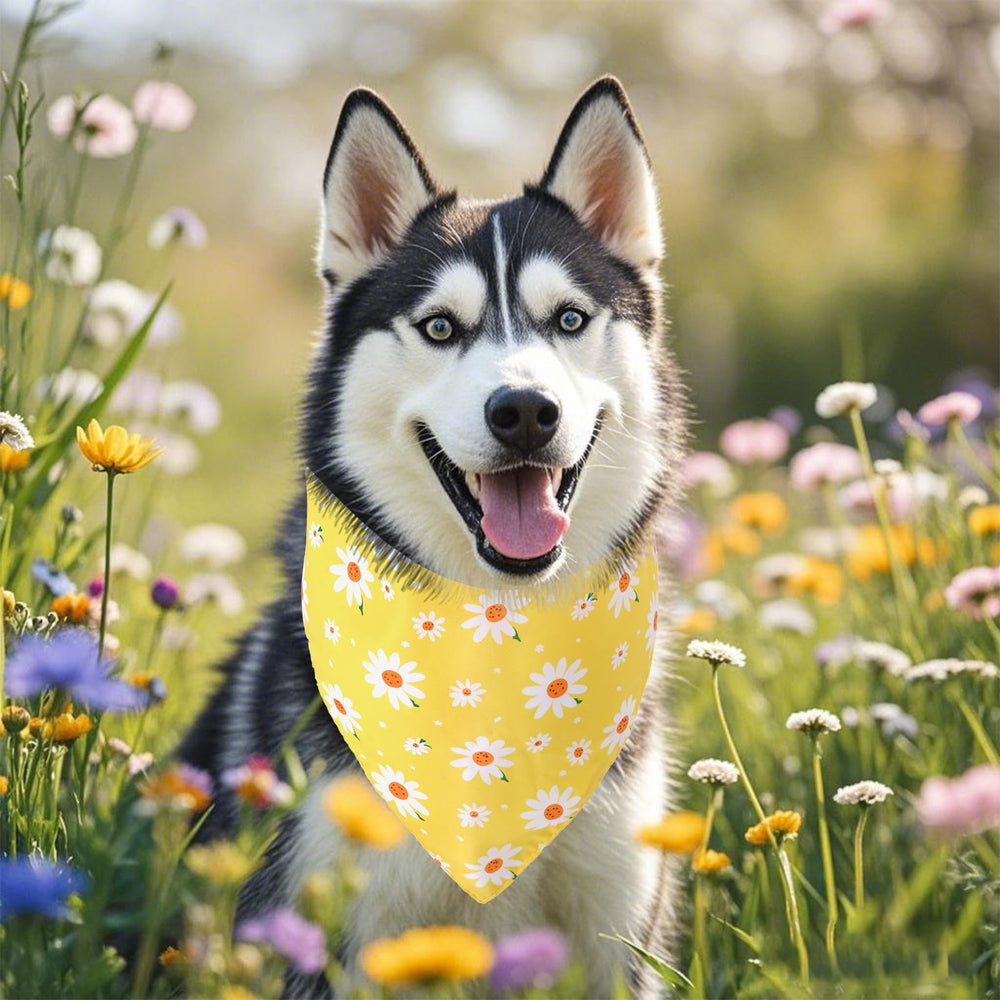 Tissu doux Haakong, bandana confortable pour la peau sensible du chien.