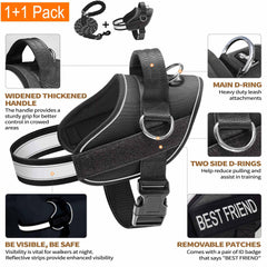 Harnais Haapaw avec 3 attaches pour varier les guidages sans tirer.