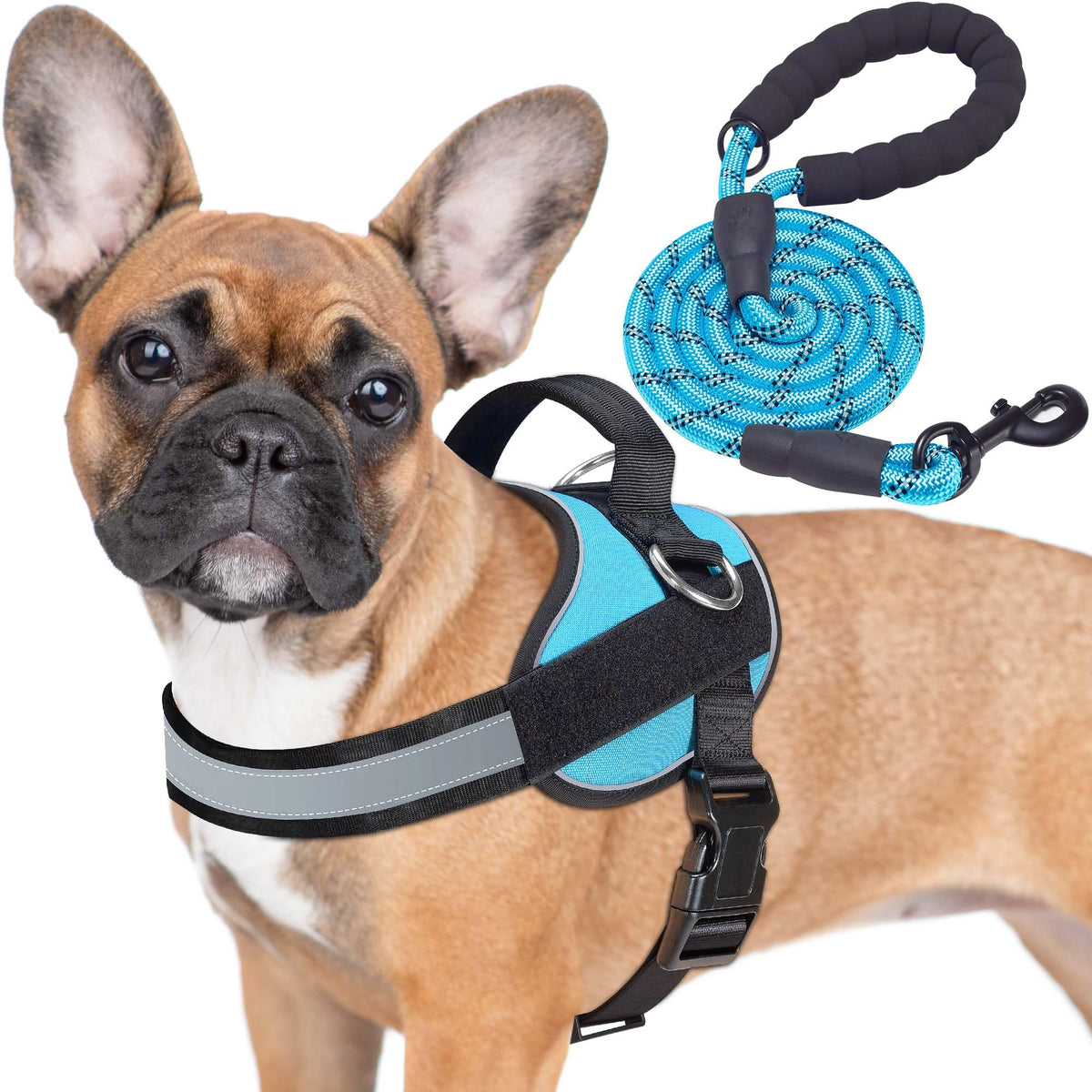 Harnais Haapaw anti-tirage pour chien, confort lors des balades.