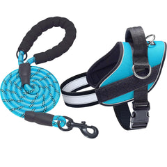 Harnais haapaw essentiel, vue générale, confort et sécurité lors des promenades.