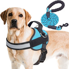Harnais Haapaw Essential sans traction et 3 attaches pour promenades plus calmes