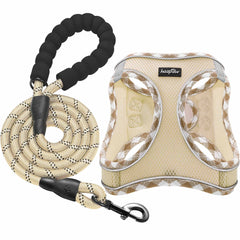 Harnais Haapaw avec laisse: ensemble doux et pratique pour promenades en sécurité.