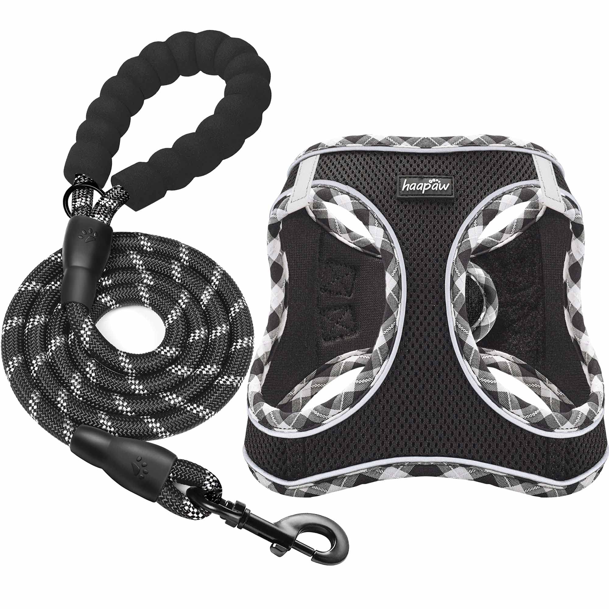 Harnais haapaw avec laisse pour petit chien, ensemble pratique et confortable pour les promenades.