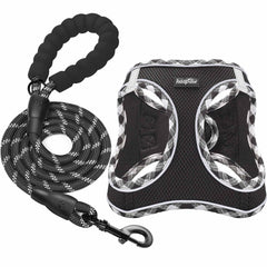 Harnais haapaw avec laisse pour petit chien, ensemble pratique et confortable pour les promenades.