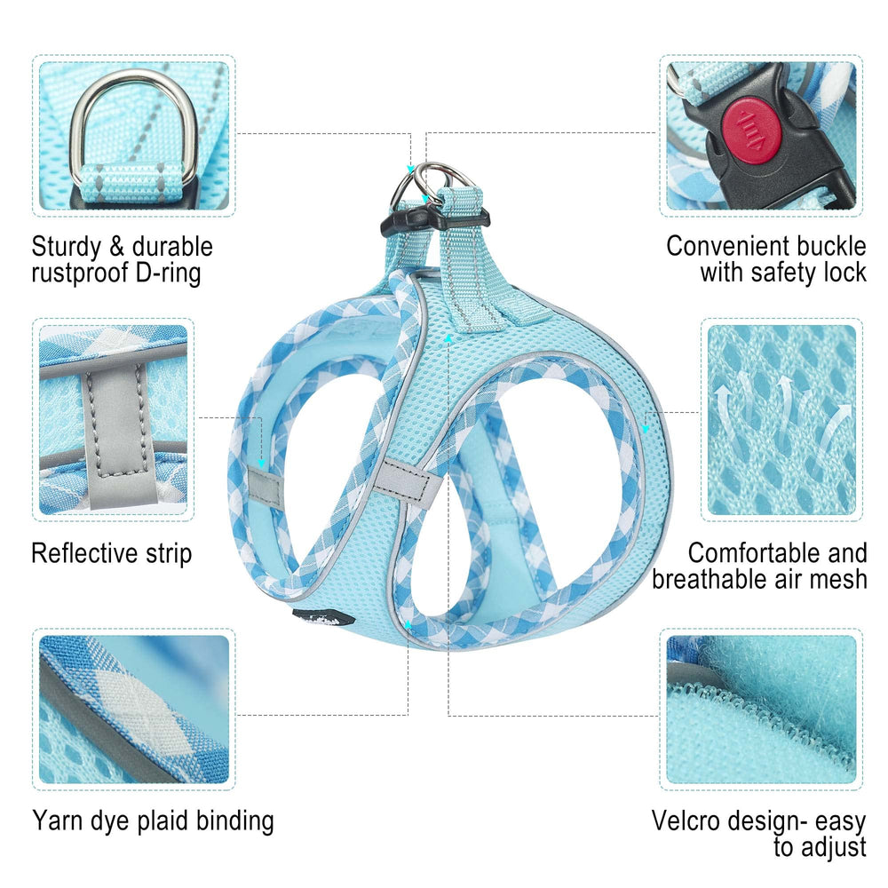 Détail en maille d’air haapaw, respirant et léger pour chien actif.