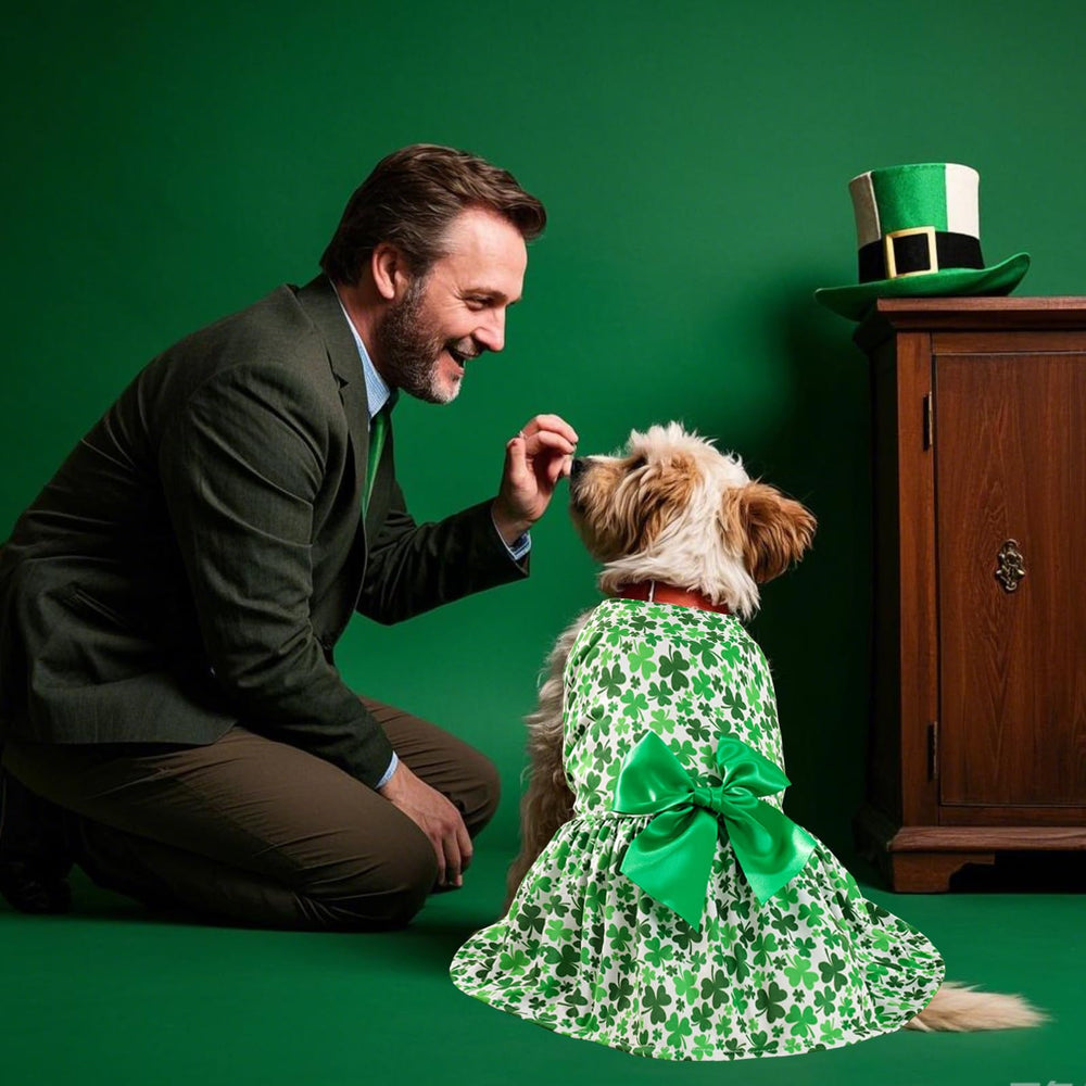 Habbiful broche-trefle-vert-chien, ajoute une touche festive et chic.