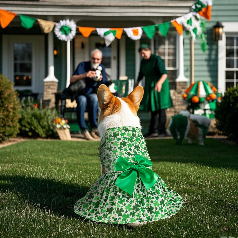 Habbiful robe-tutu-chien-dentelle-verte, légère et confortable pour les sorties.