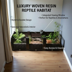 Habitat tortue-eleve: Intérieur naturel favorisant un espace de repos et d’exploration