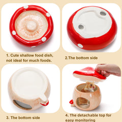 Hacaroa ensemble accessoires petits animaux, ensemble pratique pour habitat.