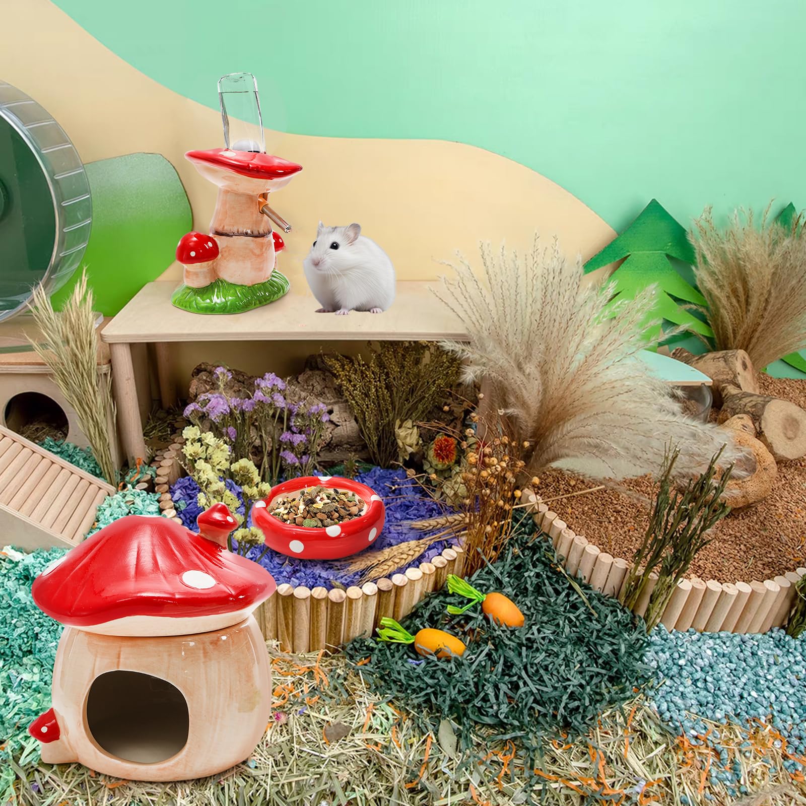 Hacaroa idéal cadeau pour petits animaux, apporte enrichissement et style.