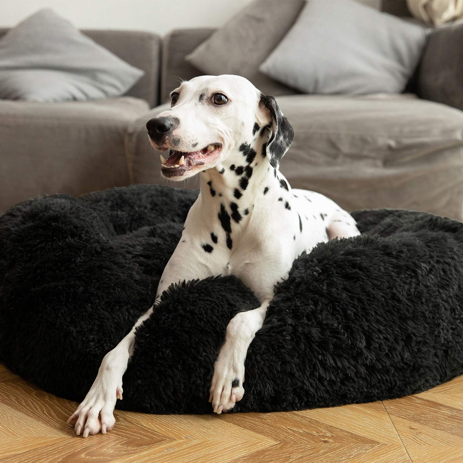 Grand lit HACHIKITTY jusqu'à 85 lb pour gros chiens.