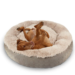 Lit rond en forme d'anneau HachiKitty pour chien – aperçu général et confort.