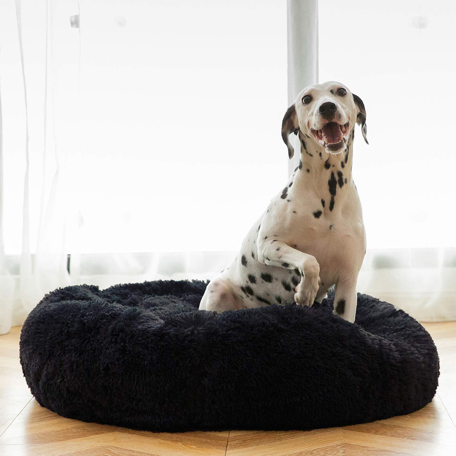 Nid rond doux HACHIKITTY offrant chaleur et confort à votre chien.