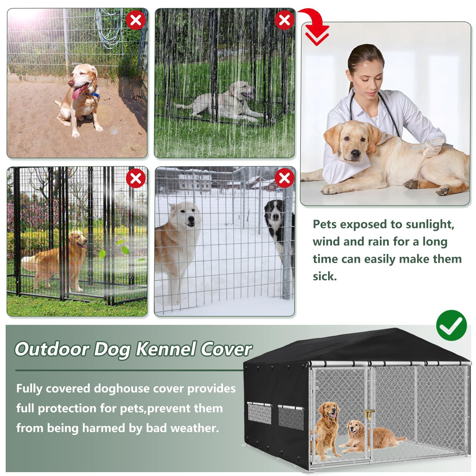Réseau mesh respirant Hadisi, meilleure aération et confort pour votre chien