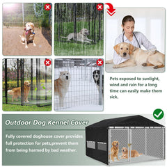 Réseau mesh respirant Hadisi, meilleure aération et confort pour votre chien