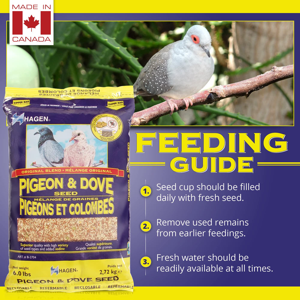 Graine Hagen, nutrition complète pour plumage vibrant et vitalité chez les oiseaux.