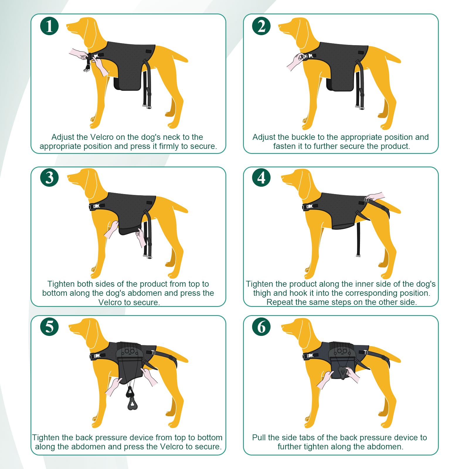 HAGGEMI Attelle dorsale pour chien ajustable double sangle, ajustement précis facilité.