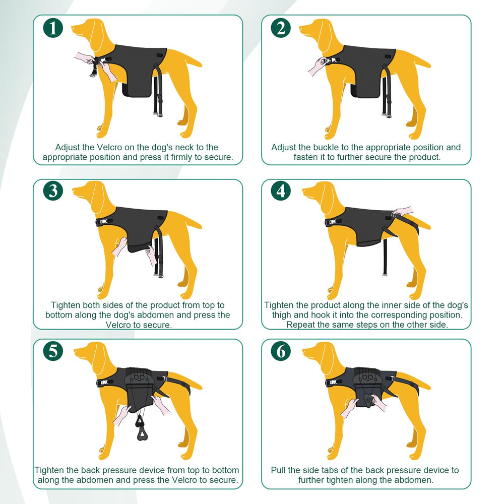 HAGGEMI Attelle dorsale pour chien ajustable double sangle, ajustement précis facilité.