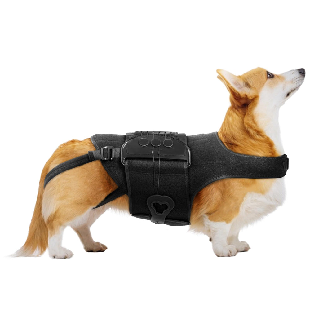 HAGGEMI Attelle dorsale pour chien IVDD, offre un soutien lombaire stable pendant les promenades.