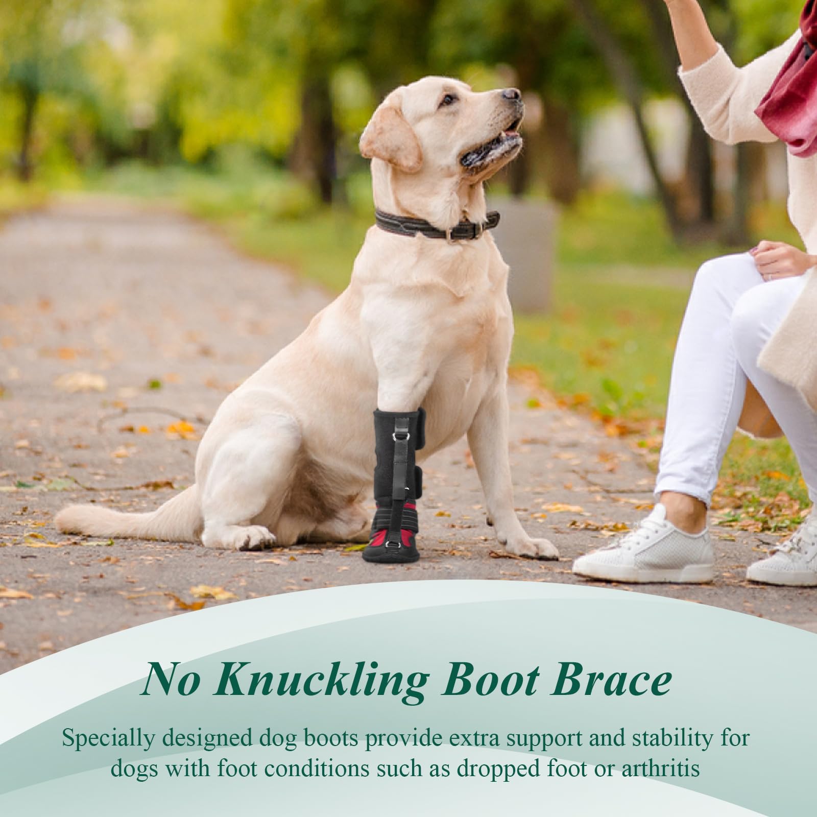 HAGGEMI chaussons orthopédiques chien: soutien des pattes et articulation.