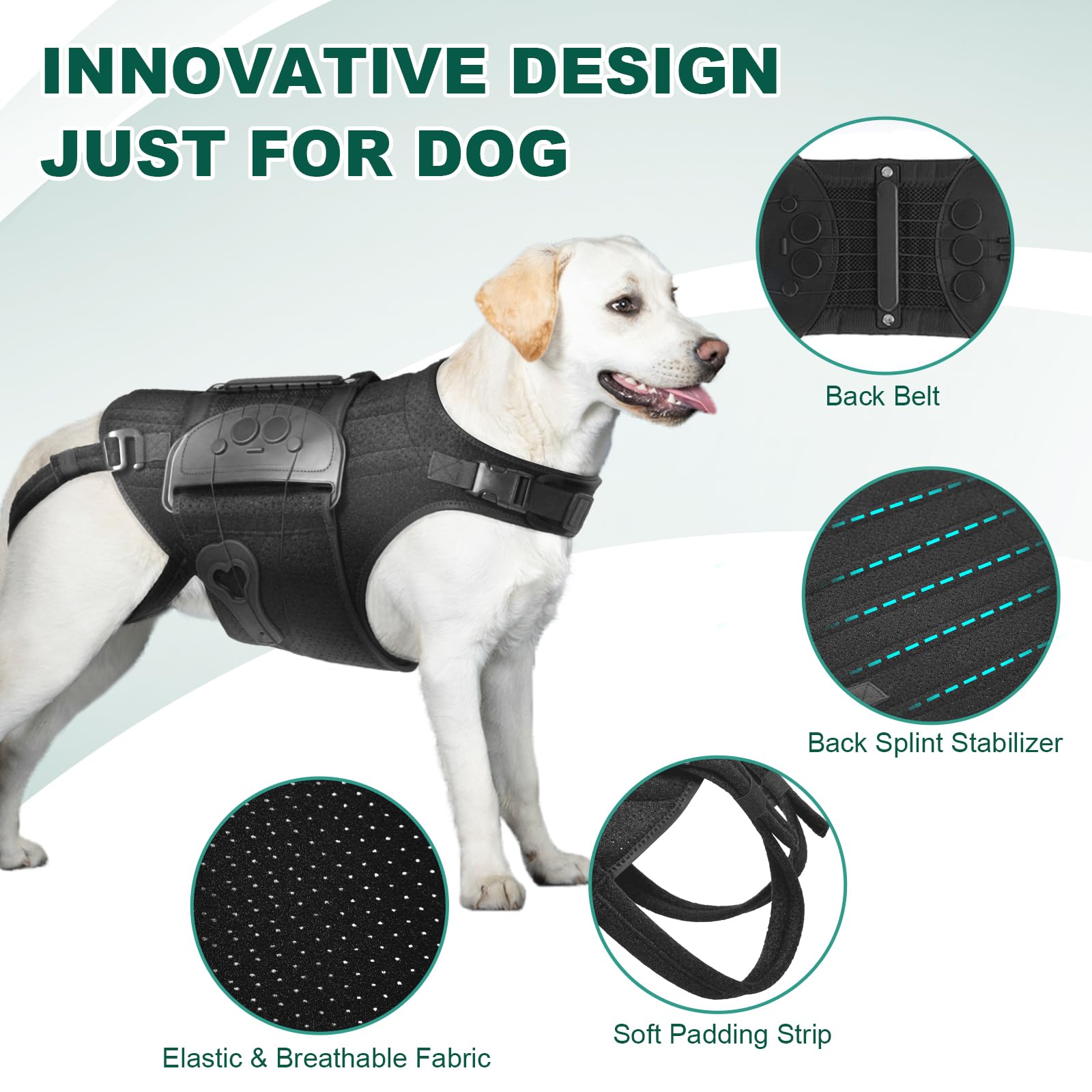 HAGGEMI design ergonomique, ajuste parfaitement le dos du chien.