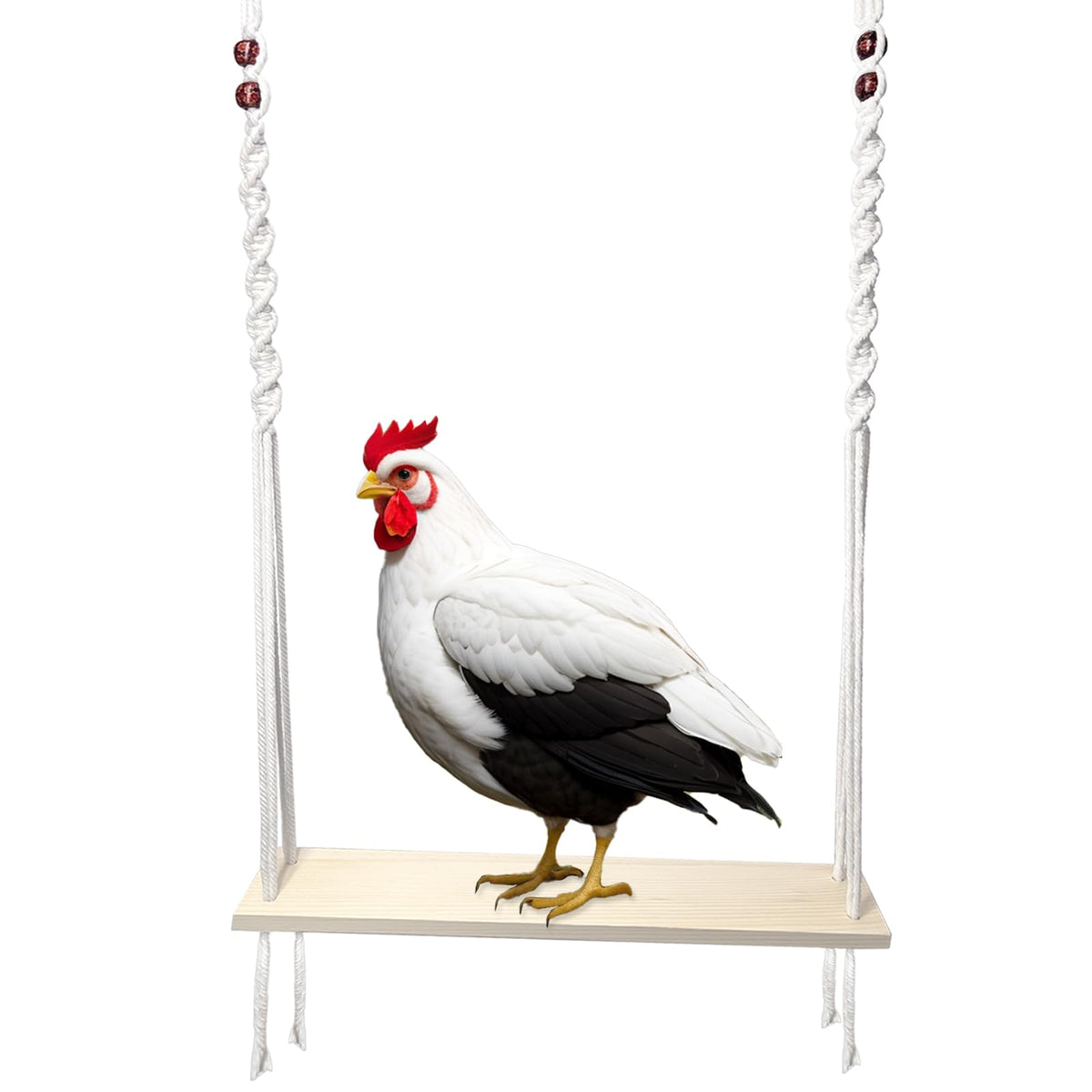 HahaMagic balancoire poulailler-bois naturel: stimule l'activité et l'enrichissement des poules.
