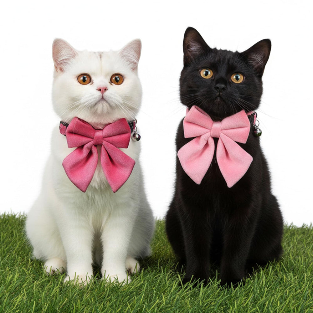 HaiFafafaing collier chat clochette pour repérer le chat en mouvement