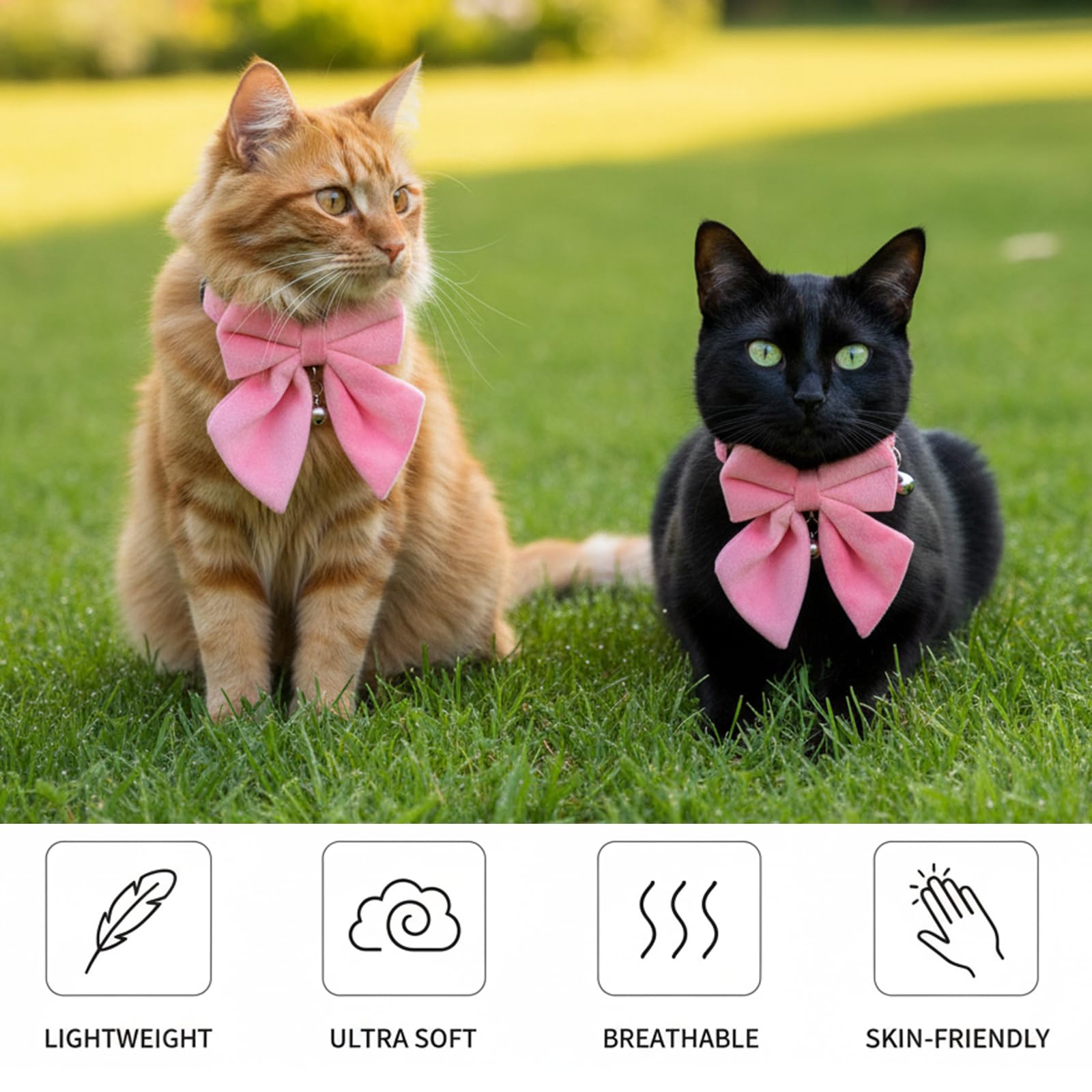HaiFafafaing collier usage quotidien, design leger pour chats actifs