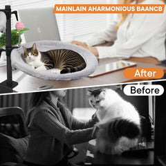 Haijunnm hauteur-ajustable-chat: offre le confort optimal lors de sessions prolongées.