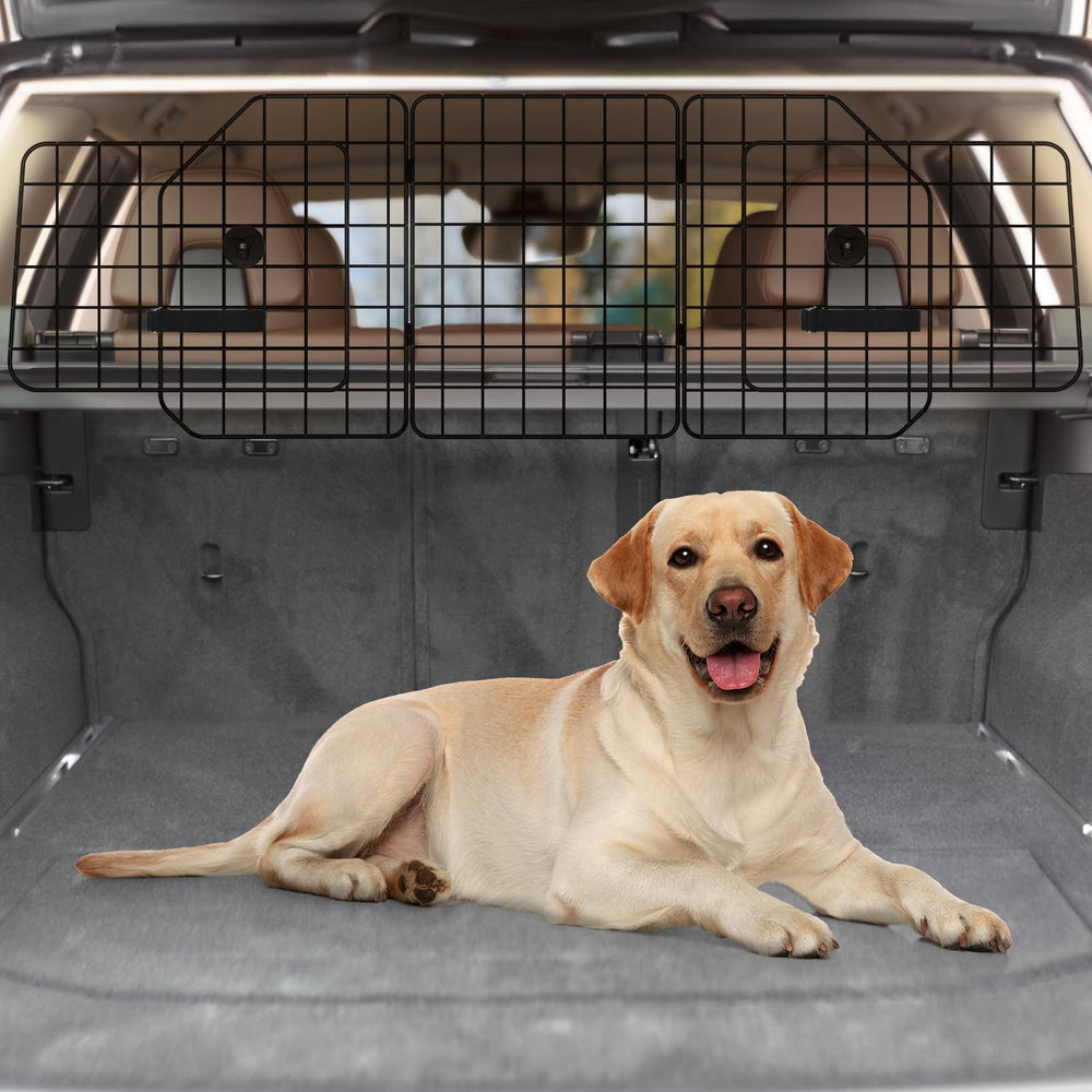 HAITRAL vue-arriere claire: permet de surveiller le chien.