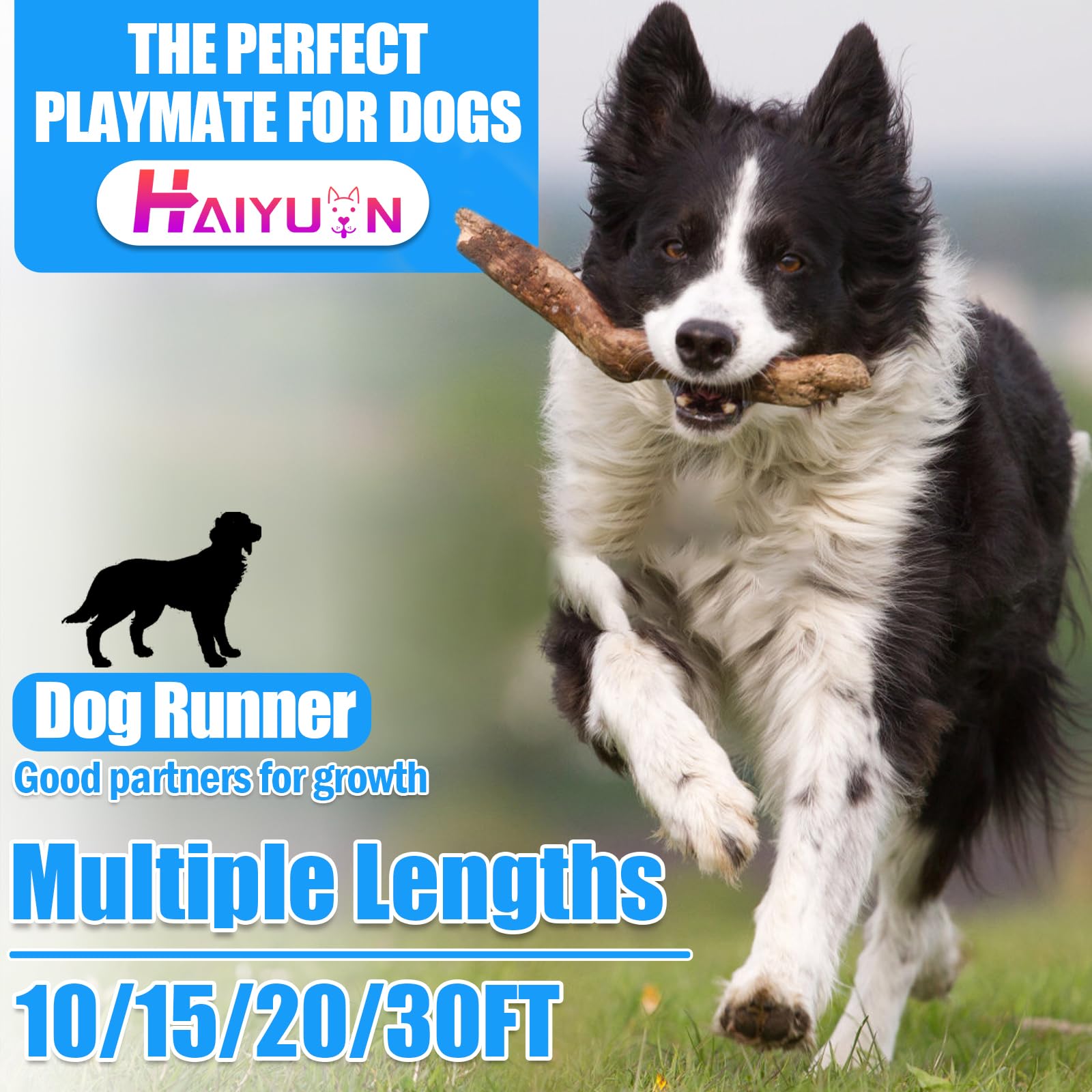 HaiYUAN câble d'attache pour chien longueur 15 pieds, espace supérieur pour le jeu au jardin.