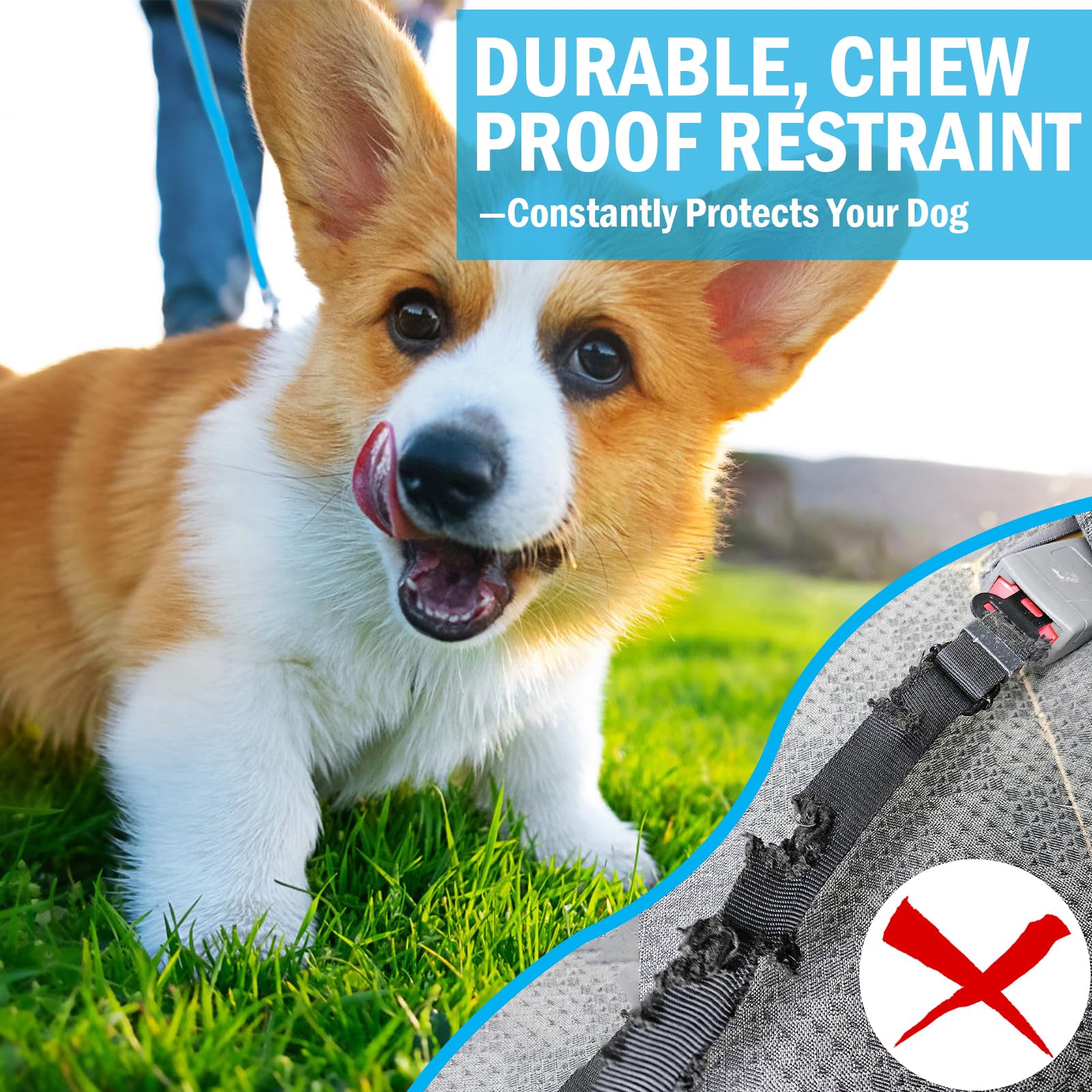 Harnais HaiYUAN chien 24 pouces double clips, sécurité et confort