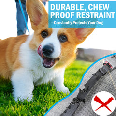Harnais HaiYUAN chien 24 pouces double clips, sécurité et confort