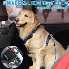 HaiYUAN harnais chien 32 pouces double clips, stabilité en voiture